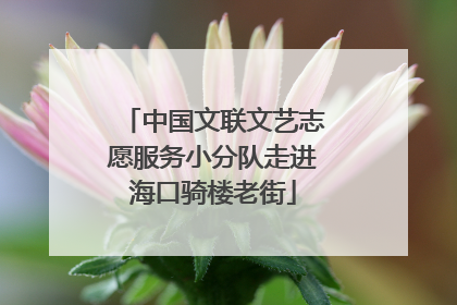 中国文联文艺志愿服务小分队走进海口骑楼老街