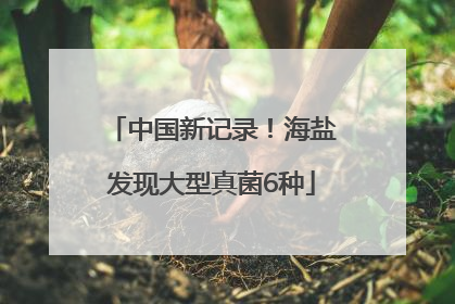 中国新记录！海盐发现大型真菌6种