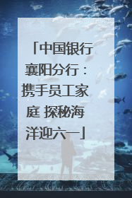 中国银行襄阳分行：携手员工家庭 探秘海洋迎六一