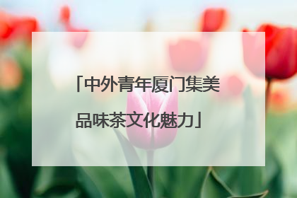 中外青年厦门集美品味茶文化魅力