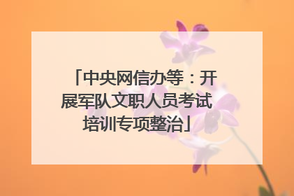 中央网信办等：开展军队文职人员考试培训专项整治