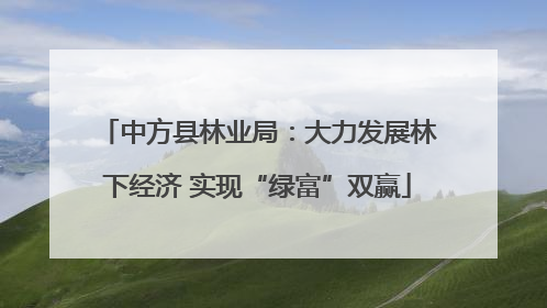 中方县林业局：大力发展林下经济 实现“绿富”双赢