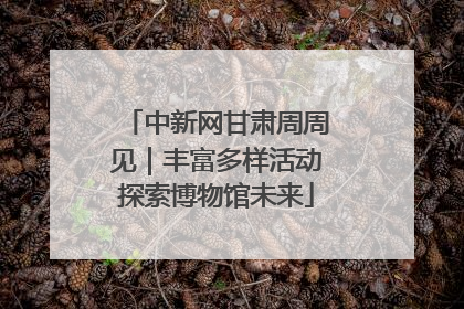 中新网甘肃周周见｜丰富多样活动探索博物馆未来
