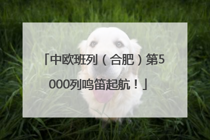 中欧班列（合肥）第5000列鸣笛起航！