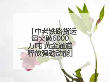 中老铁路货运量突破6000万吨 黄金通道释放强劲动能