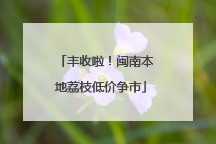 丰收啦！闽南本地荔枝低价争市