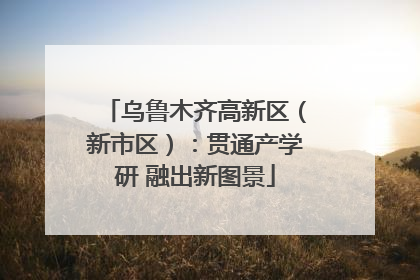 乌鲁木齐高新区（新市区）：贯通产学研 融出新图景
