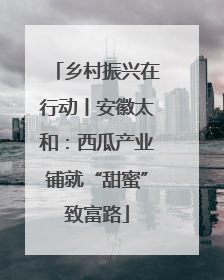 乡村振兴在行动丨安徽太和：西瓜产业铺就“甜蜜”致富路