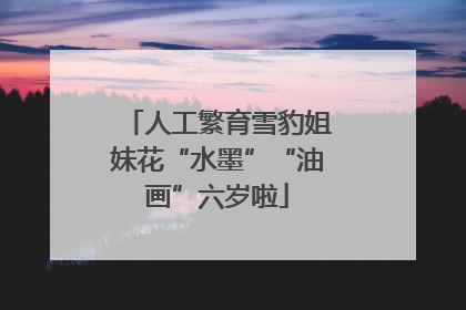 人工繁育雪豹姐妹花“水墨”“油画”六岁啦