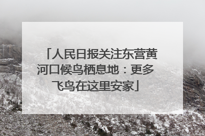 人民日报关注东营黄河口候鸟栖息地：更多飞鸟在这里安家