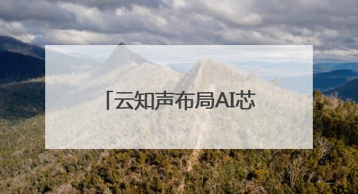 云知声布局AI芯片成果显著，持续推进上市进程助智能终端产业升级