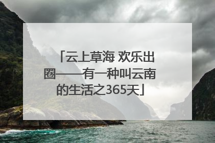 云上草海 欢乐出圈——有一种叫云南的生活之365天