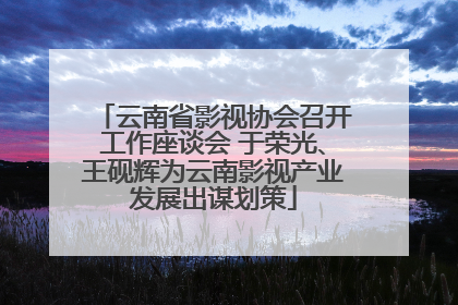 云南省影视协会召开工作座谈会 于荣光、王砚辉为云南影视产业发展出谋划策