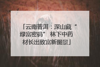 云南普洱：深山藏“绿富密码” 林下中药材长出致富新图景