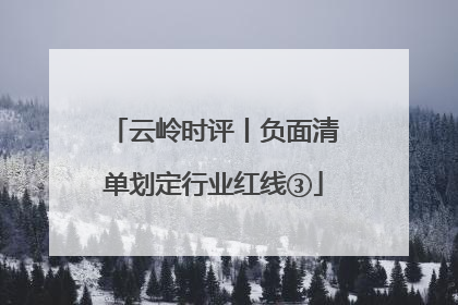 云岭时评丨负面清单划定行业红线③