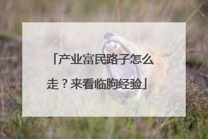 产业富民路子怎么走？来看临朐经验