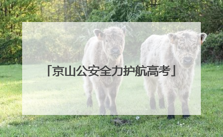 京山公安全力护航高考