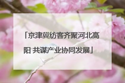 京津冀纺客齐聚河北高阳 共谋产业协同发展