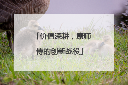 价值深耕，康师傅的创新战役