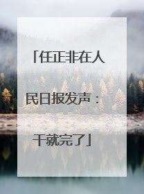 任正非在人民日报发声：干就完了