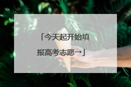 今天起开始填报高考志愿→