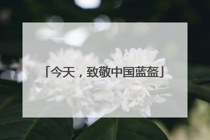今天，致敬中国蓝盔
