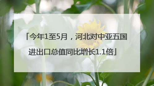 今年1至5月，河北对中亚五国进出口总值同比增长1.1倍