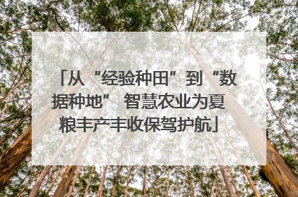 从“经验种田”到“数据种地” 智慧农业为夏粮丰产丰收保驾护航