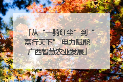 从“一骑红尘”到“荔行天下” 电力赋能广西智慧农业发展