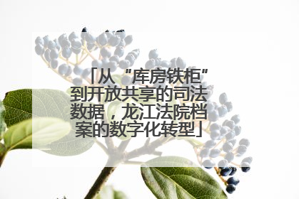 从“库房铁柜”到开放共享的司法数据，龙江法院档案的数字化转型