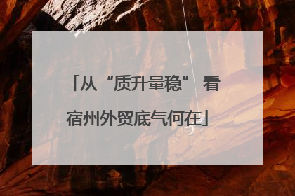 从“质升量稳” 看宿州外贸底气何在