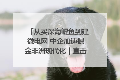 从买深海鳀鱼到建微电网 中企加速掘金非洲现代化｜直击中非经贸博览会