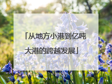 从地方小港到亿吨大港的跨越发展