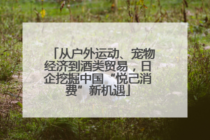 从户外运动、宠物经济到酒类贸易，日企挖掘中国“悦己消费”新机遇