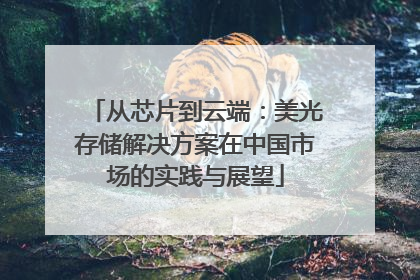 从芯片到云端：美光存储解决方案在中国市场的实践与展望