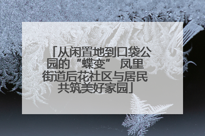 从闲置地到口袋公园的“蝶变” 凤里街道后花社区与居民共筑美好家园