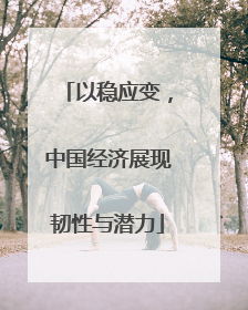 以稳应变，中国经济展现韧性与潜力