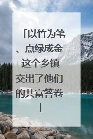 以竹为笔、点绿成金 这个乡镇交出了他们的共富答卷