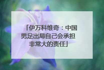 伊万科维奇：中国男足出局自己会承担非常大的责任