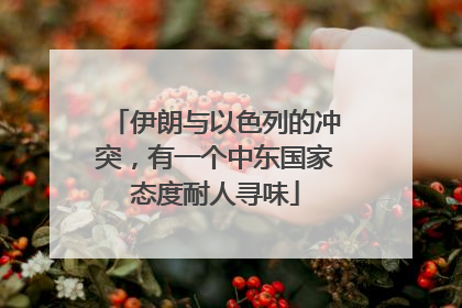 伊朗与以色列的冲突，有一个中东国家态度耐人寻味