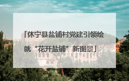 休宁县盐铺村党建引领绘就“花开盐铺”新图景