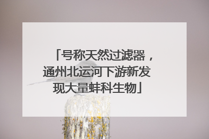 号称天然过滤器，通州北运河下游新发现大量蚌科生物
