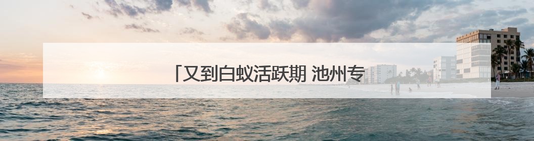 又到白蚁活跃期 池州专业防治人员教你如何应对