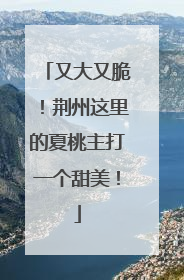 又大又脆！荆州这里的夏桃主打一个甜美！