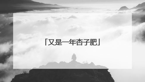 又是一年杏子肥