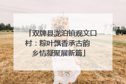 双牌县泷泊镇观文口村：粽叶飘香承古韵 乡情凝聚展新篇