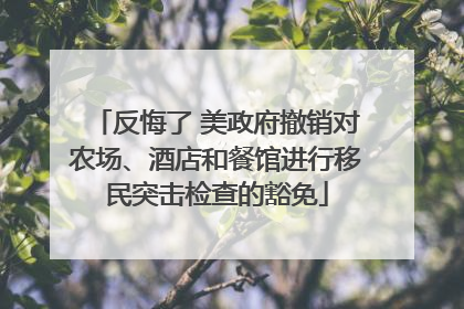 反悔了 美政府撤销对农场、酒店和餐馆进行移民突击检查的豁免