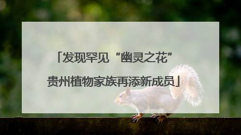 发现罕见“幽灵之花” 贵州植物家族再添新成员