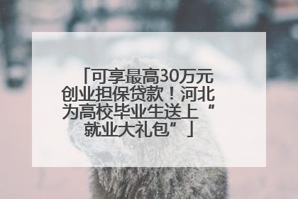 可享最高30万元创业担保贷款！河北为高校毕业生送上“就业大礼包”