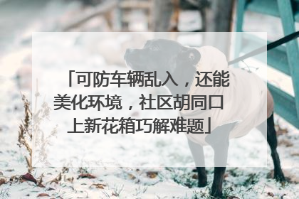 可防车辆乱入，还能美化环境，社区胡同口上新花箱巧解难题